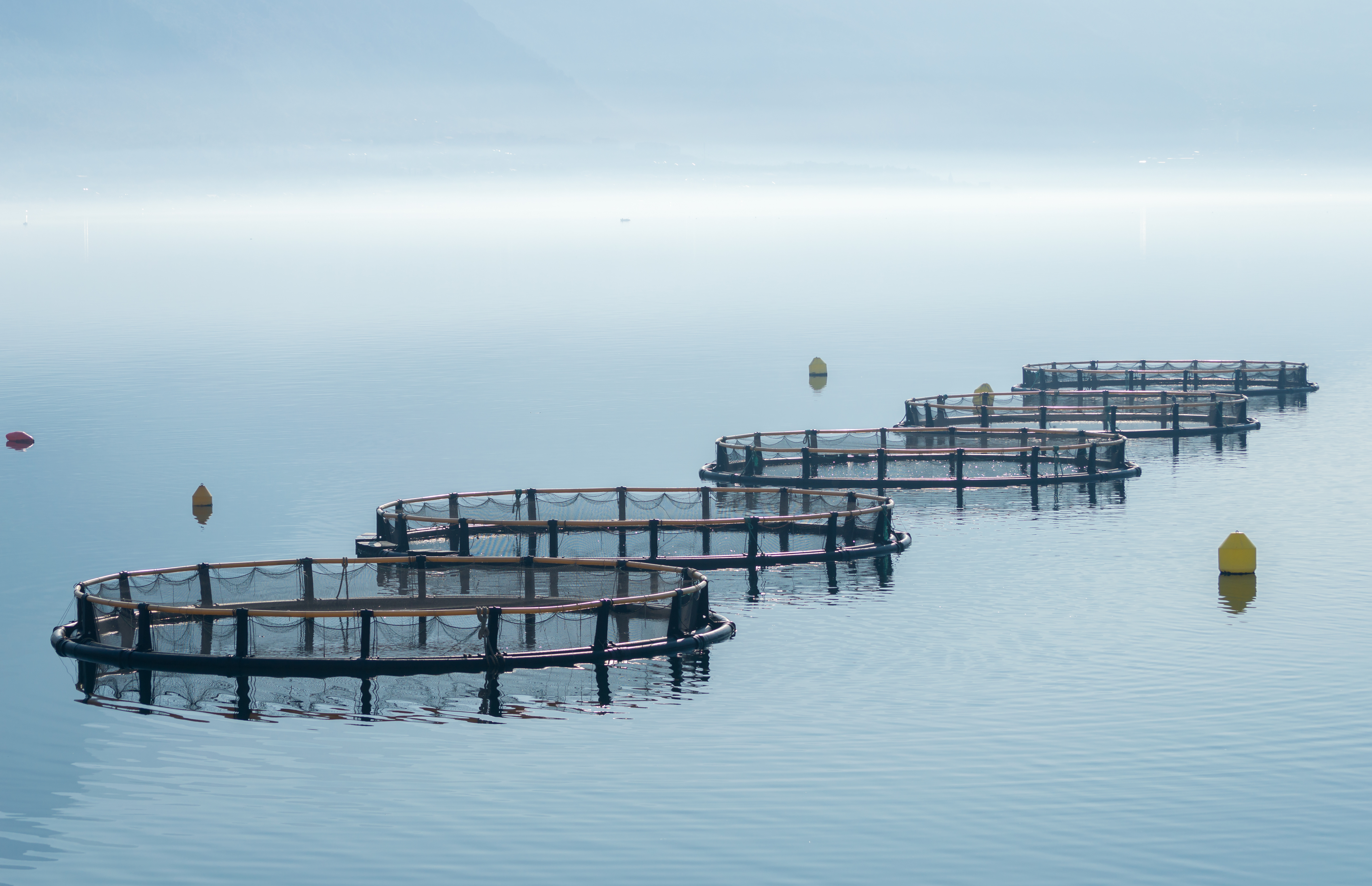 Aquaculture